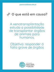 WhatsApp Image 2026-03-30 at 09.15.08